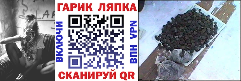 ГАШ Изолятор Юхнов