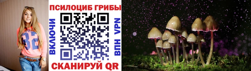 МЕГА ссылки  Юхнов  Псилоцибиновые грибы GOLDEN TEACHER 